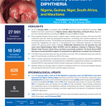 WHO African Region Health Emergency Situation Report - Multi-country Outbreak of Diphtheria, Consolidated Regional Situation Report # 006 – As of January 14, 2024 - Nigeria