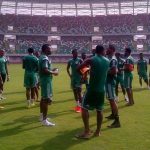 Benin Republic down home-based Eagles 1-0 | The Guardian Nigeria News