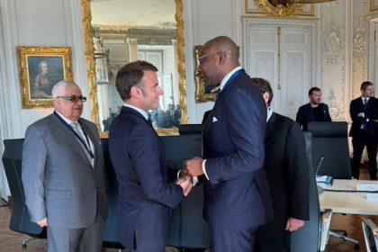 Macron Appoints Aig-Imoukhuede to Lead France Nigeria Business Council