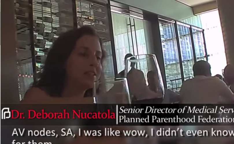 3 shocking scenes in CMP’s undercover videos: 'Ripping off legs'