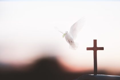 7 reasons you need the Holy Spirit