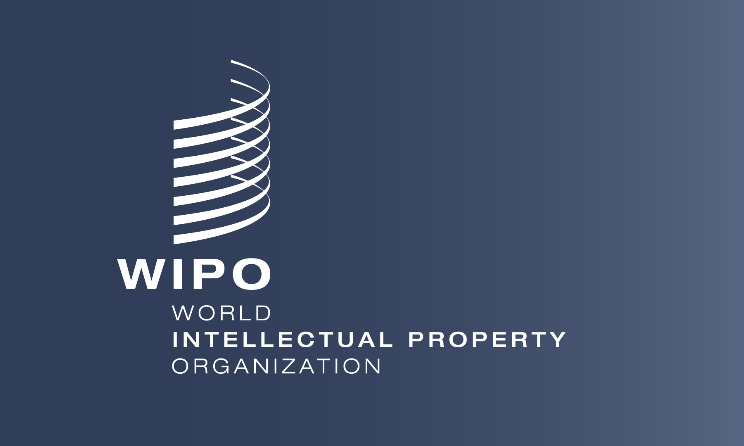 Open call: WIPO acceleration programme in Nigeria