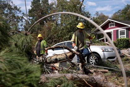 Helene: Grandparents killed by tree found hugging each other