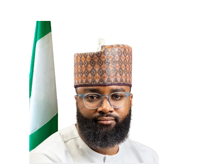 The Energy Commission Of Nigeria: Our Transformations Journey | The Guardian Nigeria News