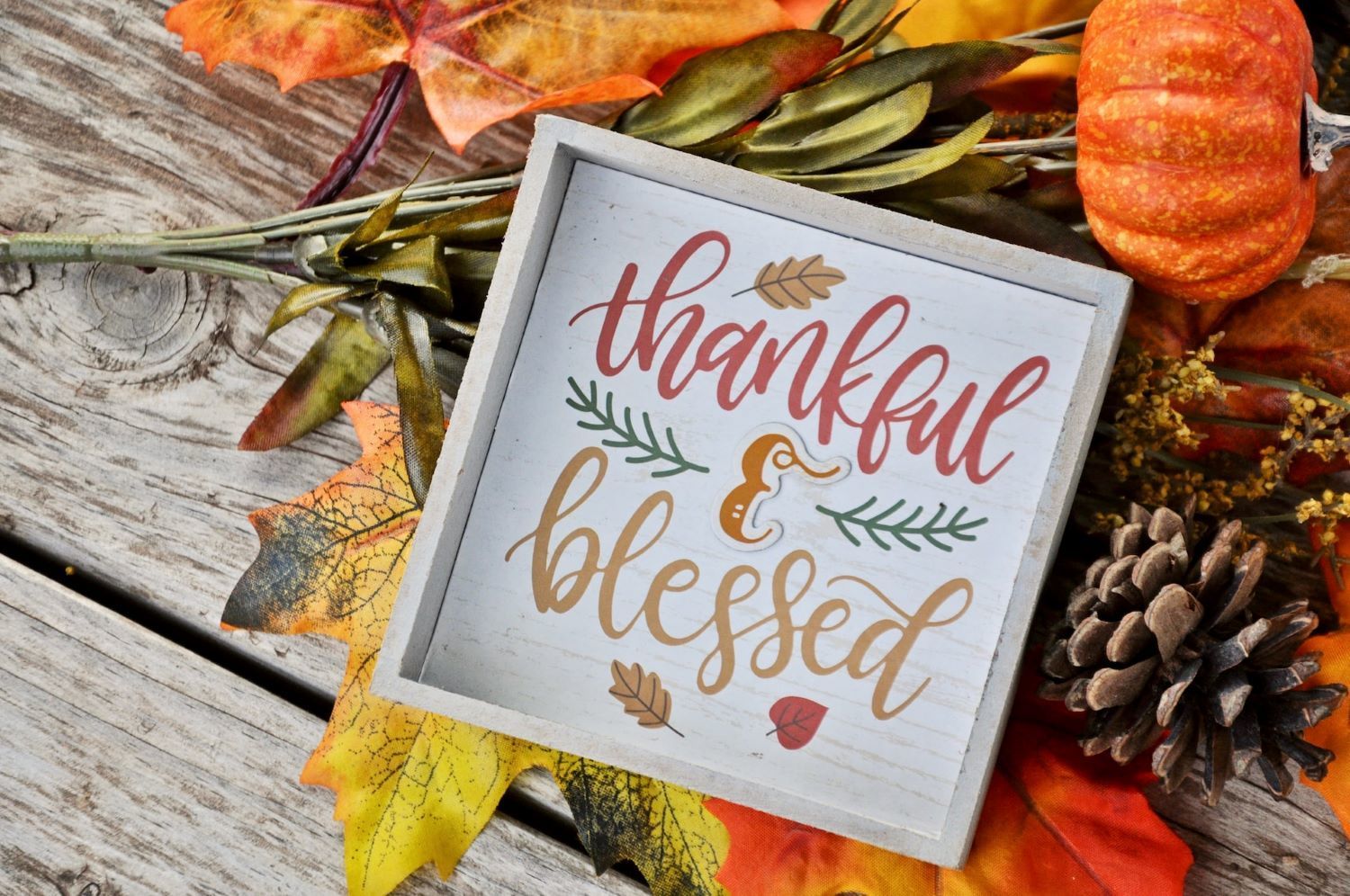 Thanksgiving is around the corner. Are you always giving thanks?