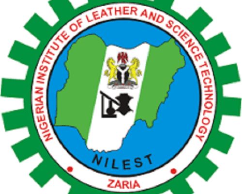 NILEST to Establish Mini Tanneries Nationwide – Voice of Nigeria