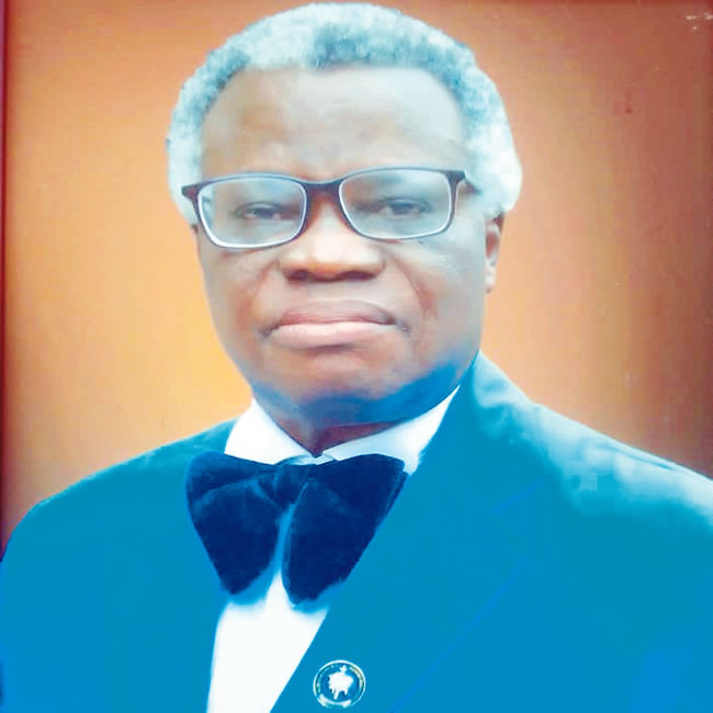 Nigeria’s current challenges: No one should be blamed, but... —Orekoya