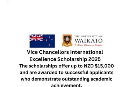 Vice Chancellors International Excellence Scholarship 2025