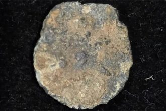 American tourist discovers rare ancient Jewish coin in Shiloh