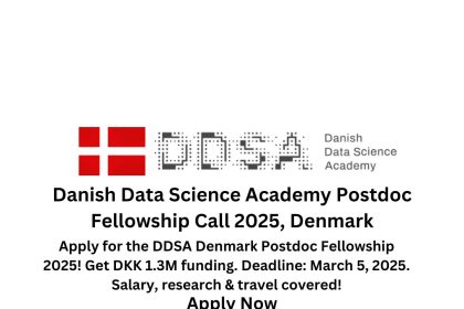 Danish Data Science Academy Postdoc Fellowship Call 2025, Denmark