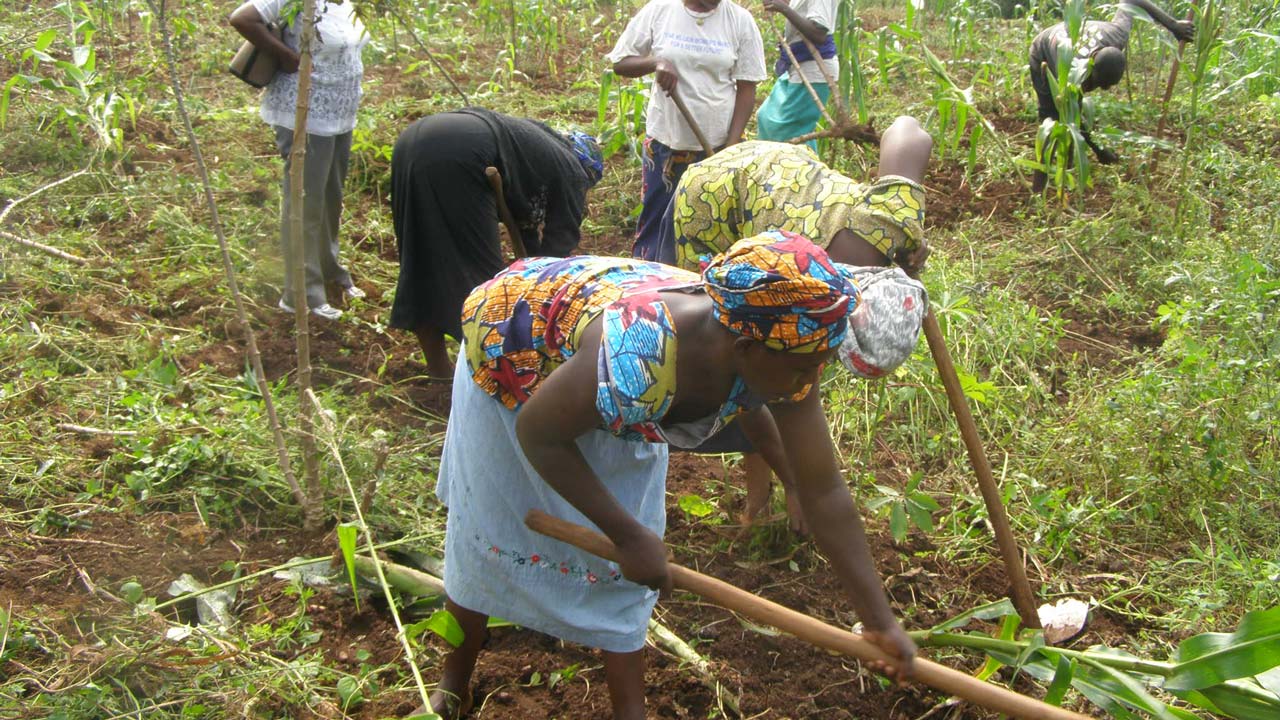 NWAPDI Unveils Technology To Support Rural Farmers