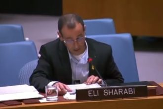 Israeli hostage shares his experience with UN Security Council