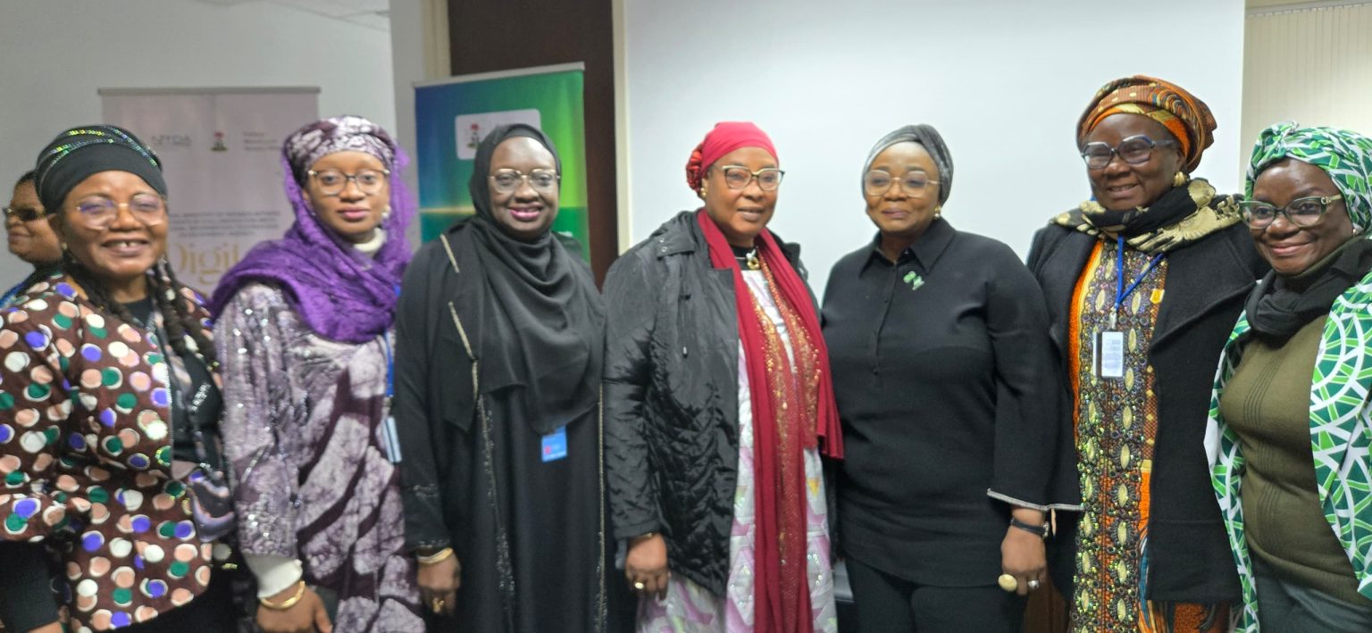 Nigeria moves to bridge the gender digital divide at United Nations CSW69 – Blueprint Newspapers Limited