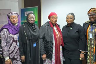 Nigeria moves to bridge the gender digital divide at United Nations CSW69 – Blueprint Newspapers Limited