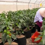 f9e42d7c 6864 484b 85ff 393f8734de56 (1)