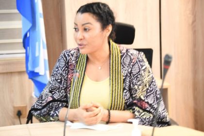 Nigeria Holds Talks with Sweden, Norway on Tax Transparency, Tech Innovation, Others – THISDAYLIVE