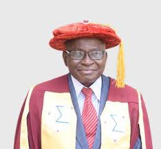 Why Nigeria’s Innovation Hubs Fail to Deliver Prosperity - Prof. Onwualu