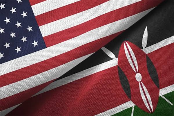 US cuts $51m SME funding, threatening African startups, farmers