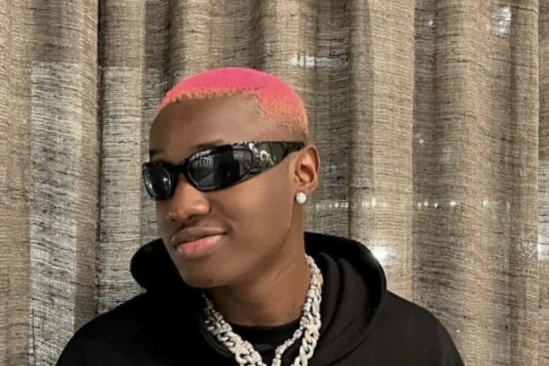 I gave my first musical earnings to church - Ruger