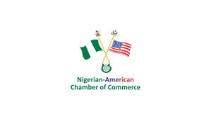 Nigeria yet to fully explore its technology potential – NACC