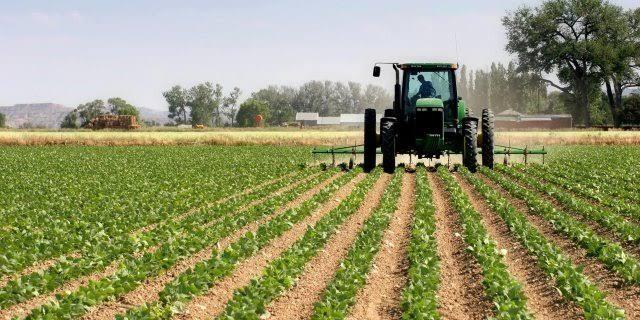 Institute Urges Government to Harness New Tech for Food Safety