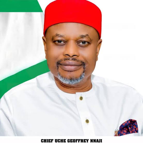 Giant strides of Uche Nnaji in Nigeria's technology sector