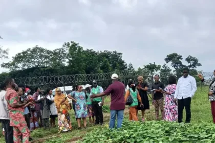 Stakeholders Advocate GMO Technology for Improved Food Security