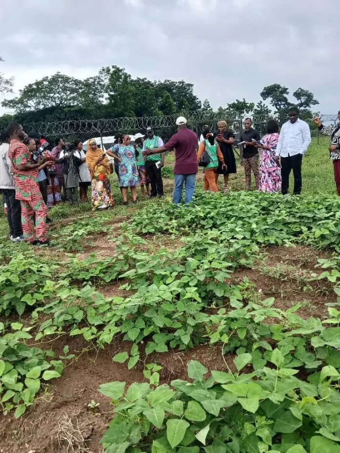 Stakeholders Advocate GMO Technology for Improved Food Security