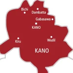 Technology gap, community deals fueling insecurity crisis - Kano deputy governor