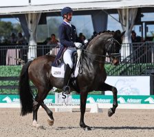 Christian Simonson Rides Indian Rock to Huge Personal Best to Win Wellington's World Cup Grand Prix