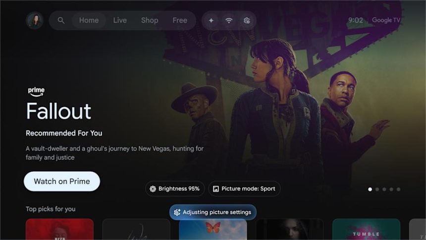 Gemini adjust picture settings through Google TV.